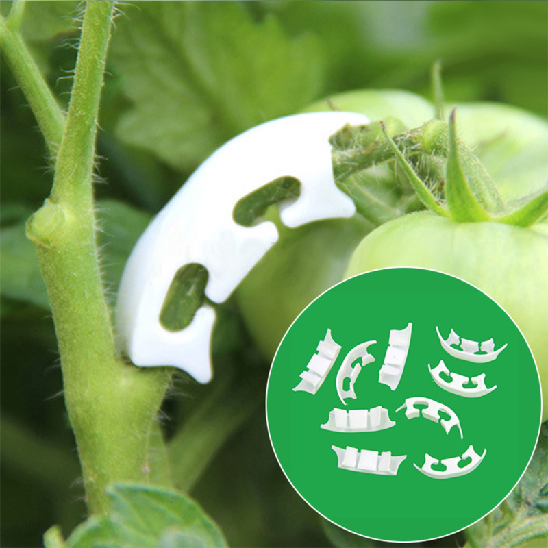 Florist Supply Bulk - 50/100pcs Botany-stem Vine Strapping Clips Garden