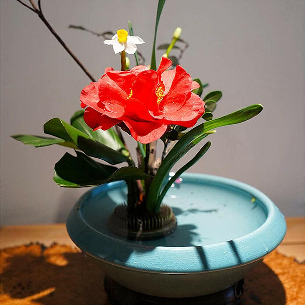Round Flower Frog Holder For I - Flower Frog Pin review and price