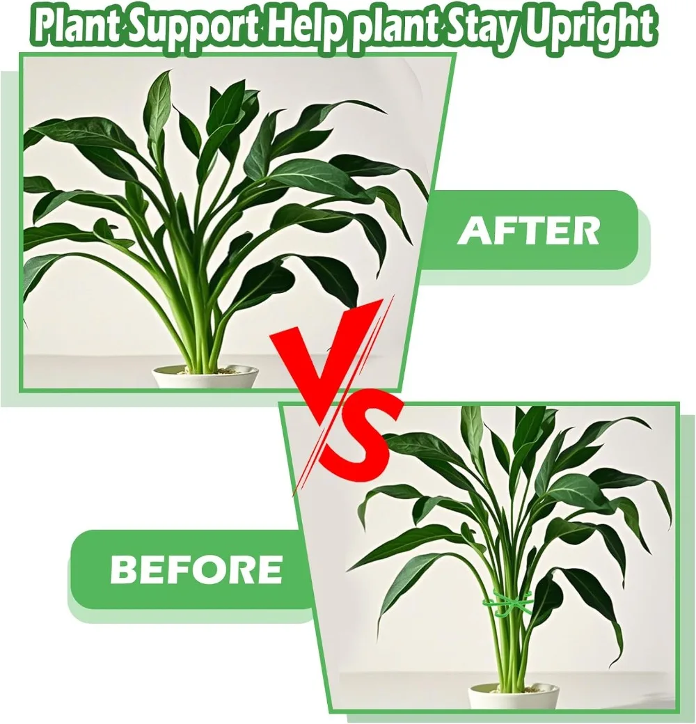 Flower Plant Stem Support Stak - Florist Supply Bulk review and price