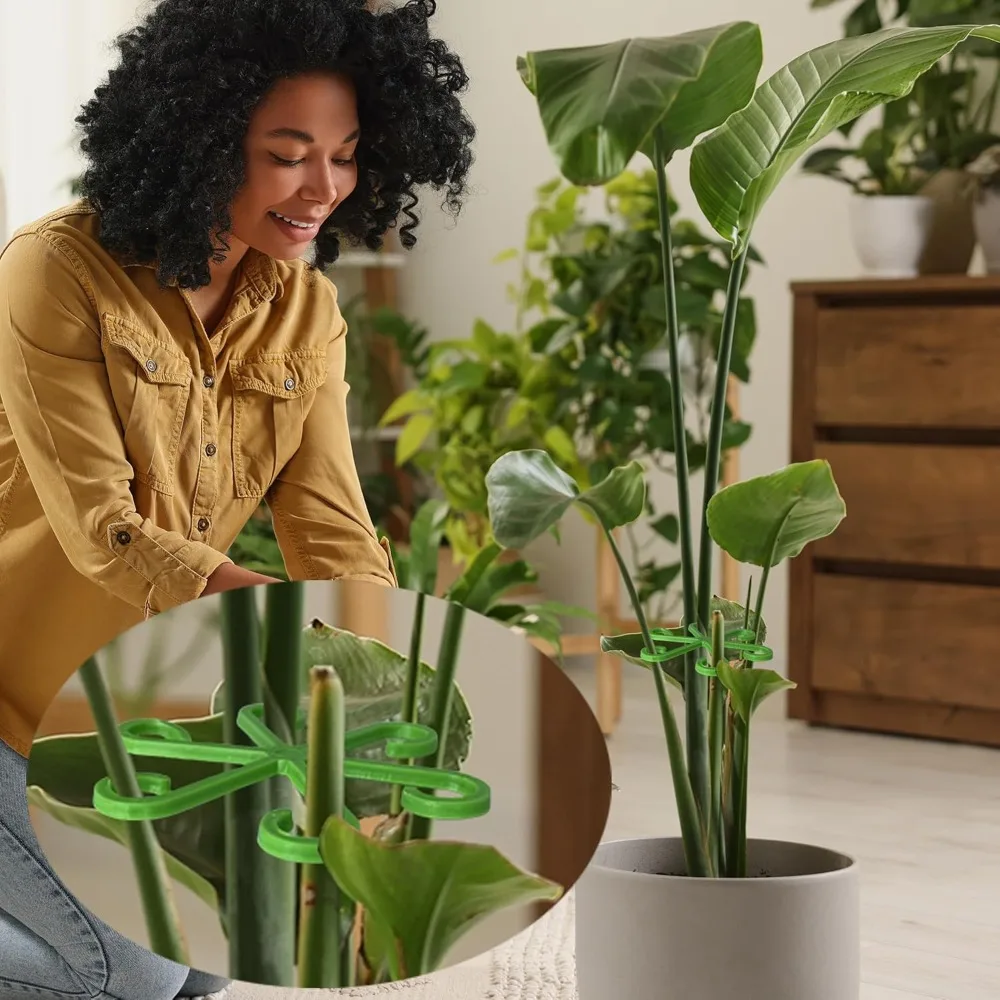 Flower Plant Stem Support Stak - Florist Supply Bulk review and price