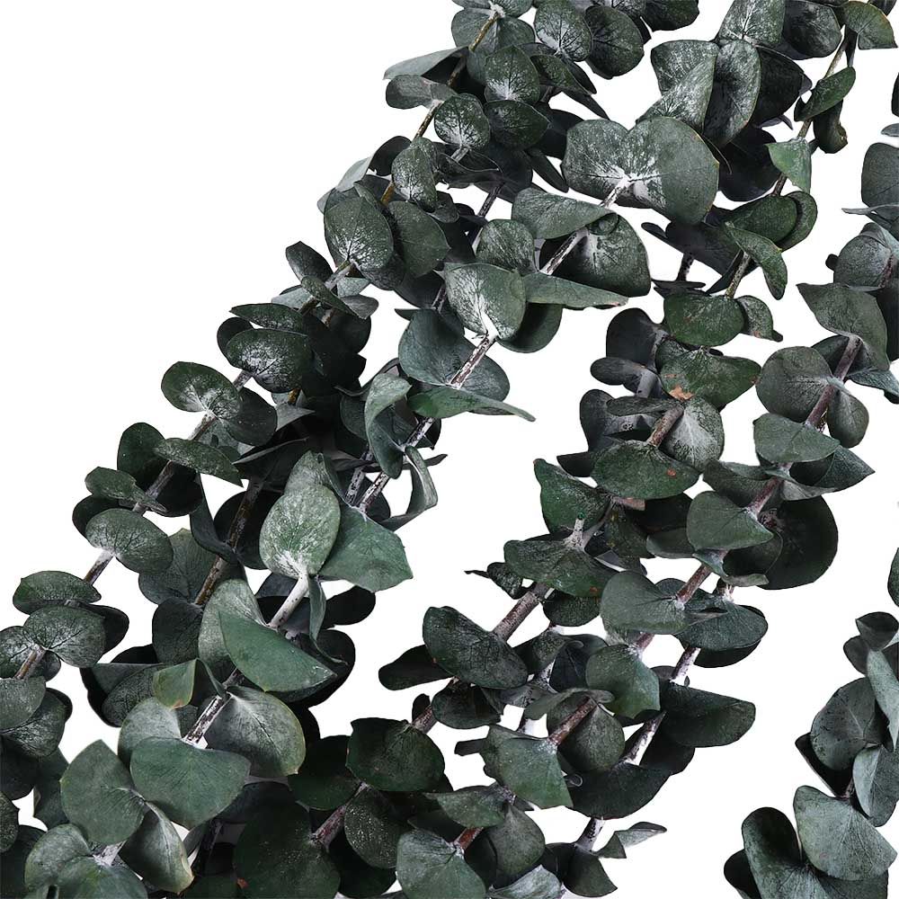10 Pcs Real Leaves Hanging Dri - Eucalyptus Preserved review and price