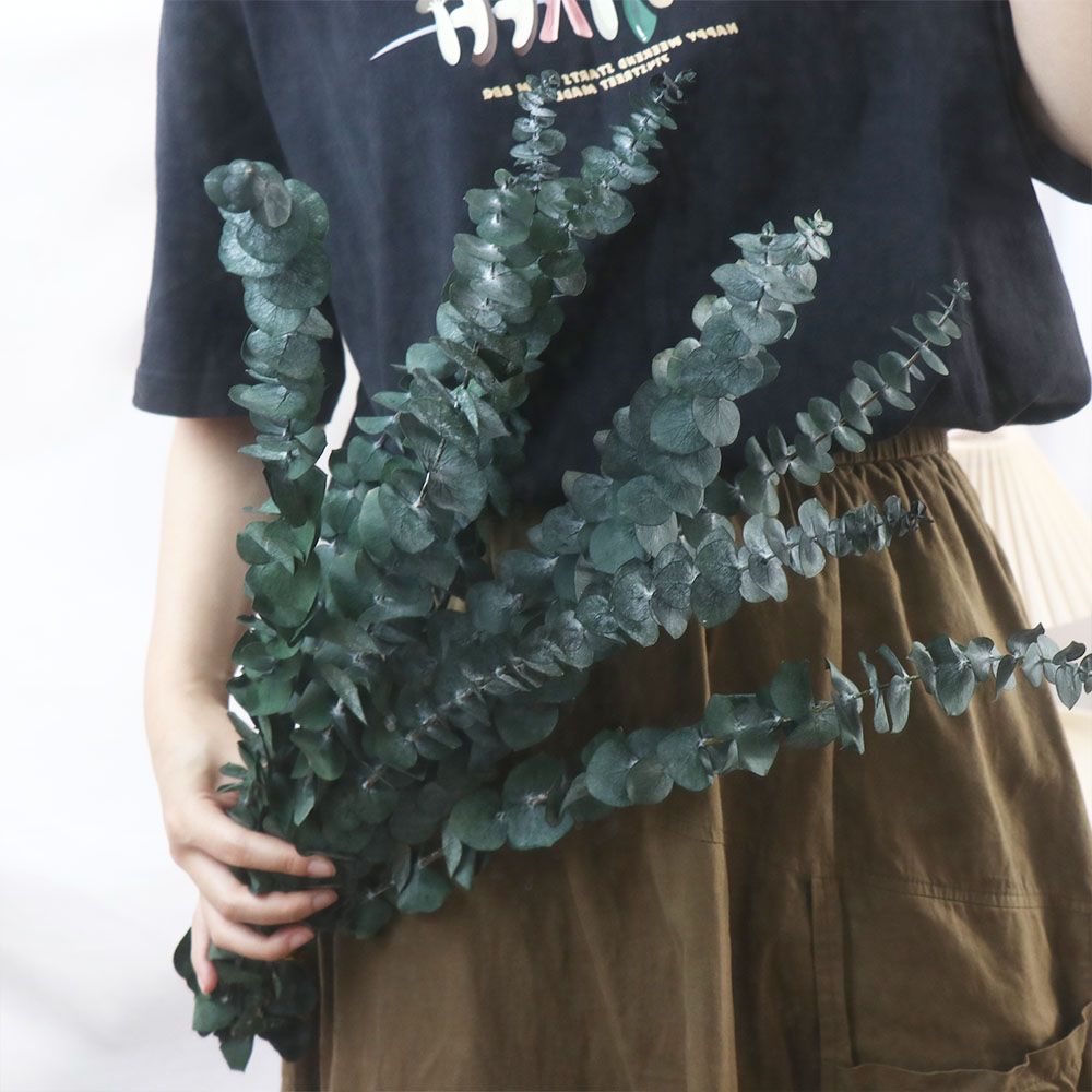 10 Pcs Real Leaves Hanging Dri - Eucalyptus Preserved review and price