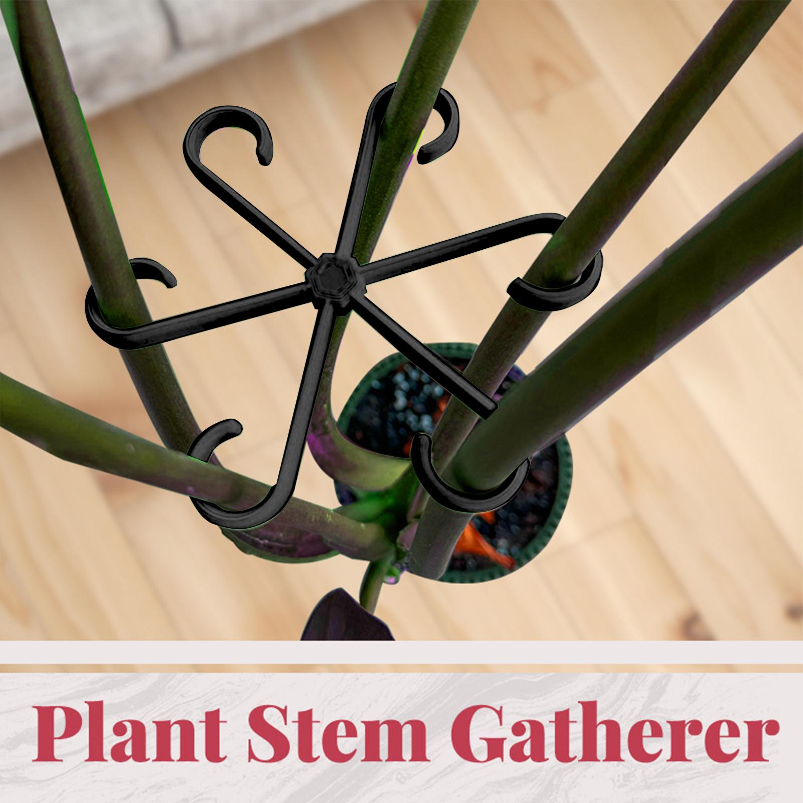 4pcs Plant Stem Support Clips  - Florist Supply Bulk review and price