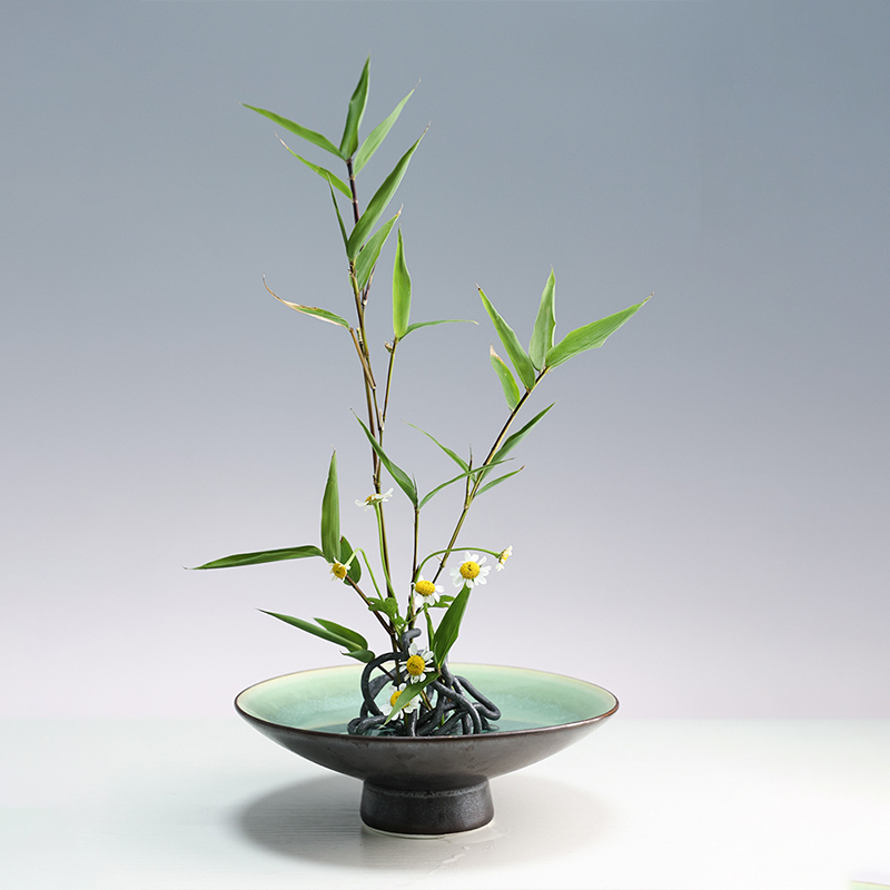 Japanese Ikebana Kenzan Flower - Flower Frog Pin review and price