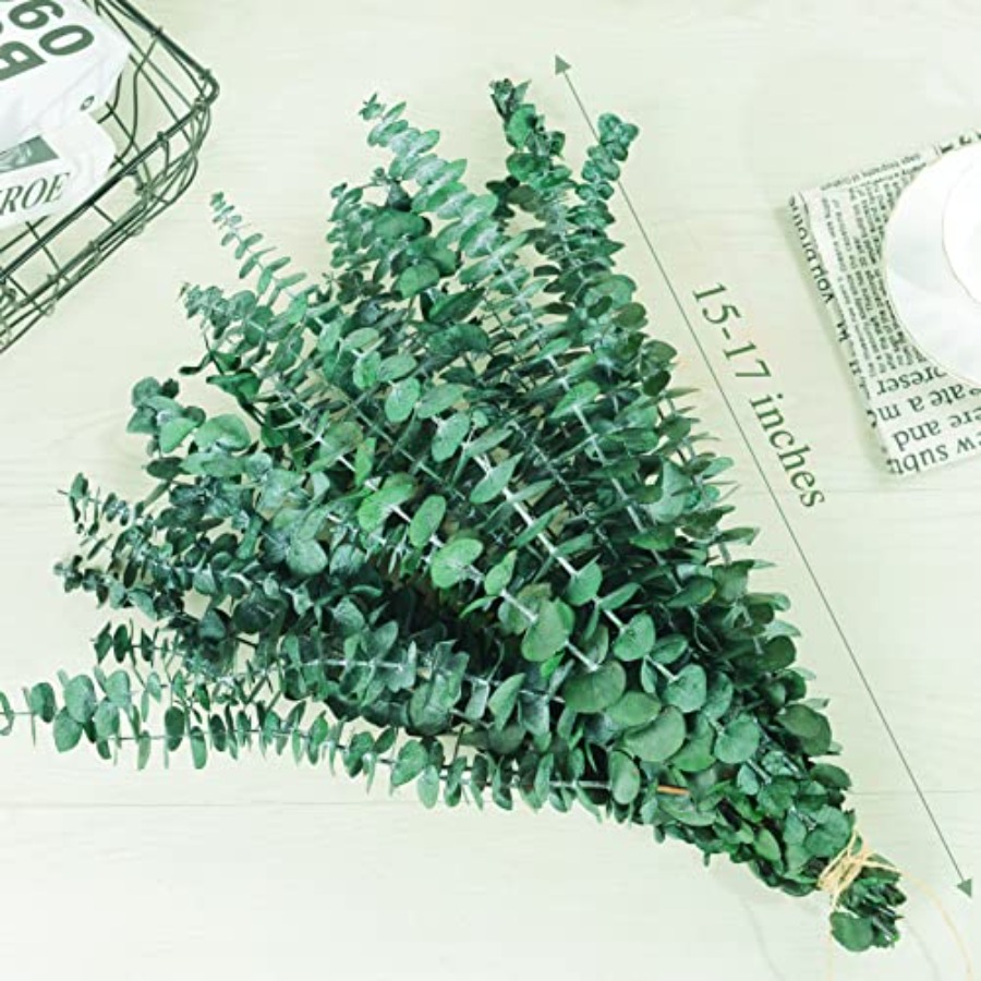 20 Pcs Preserved Dried Eucalyp - Eucalyptus Preserved review and price
