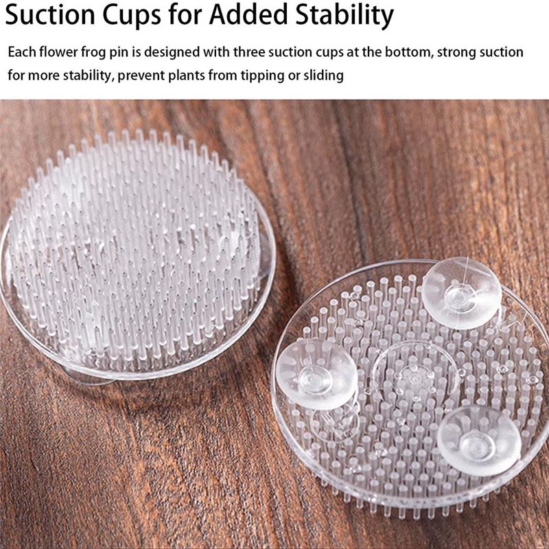 Set Of 12 Clear Plastic Pin Fr - Flower Frog Pin review and price