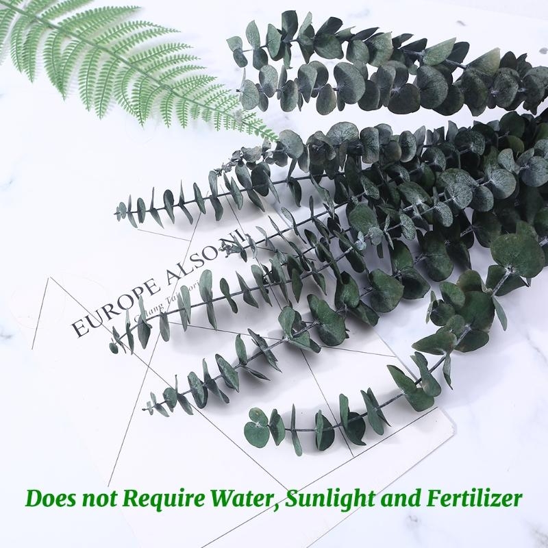 20Pcs Preserved for Fresh Euca - Eucalyptus Preserved review and price