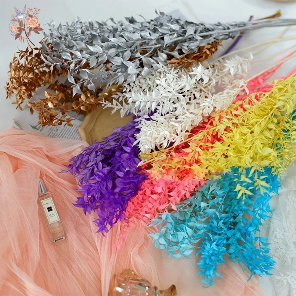 50g Artificial Dried Flower Ru - Eucalyptus Preserved review and price