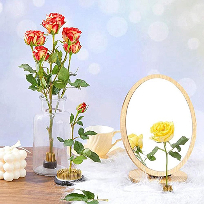 Hot 12PCS Flower Frog, Kenzan  - Flower Frog Pin review and price