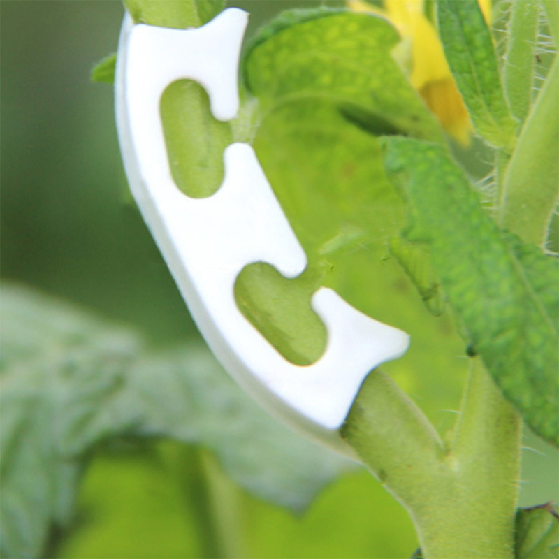 50/100pcs Botany-stem Vine Str - Florist Supply Bulk review and price