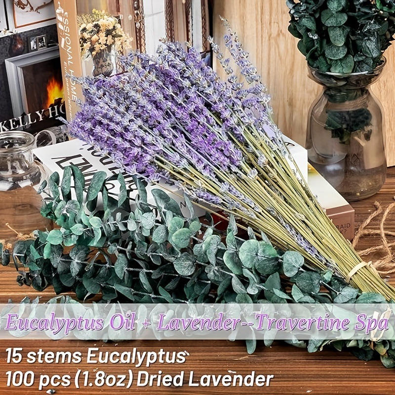 Preserved Lavender & Eucalyptu - Eucalyptus Preserved review and price
