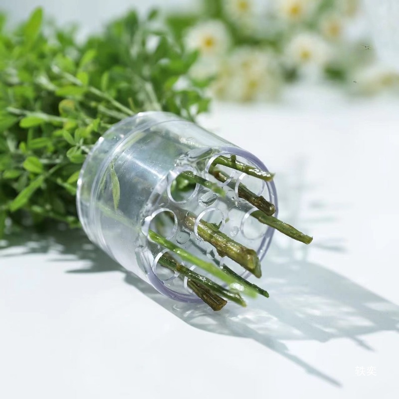 Spiral Stem Holder Sturdy Clea - Florist Supply Bulk review and price