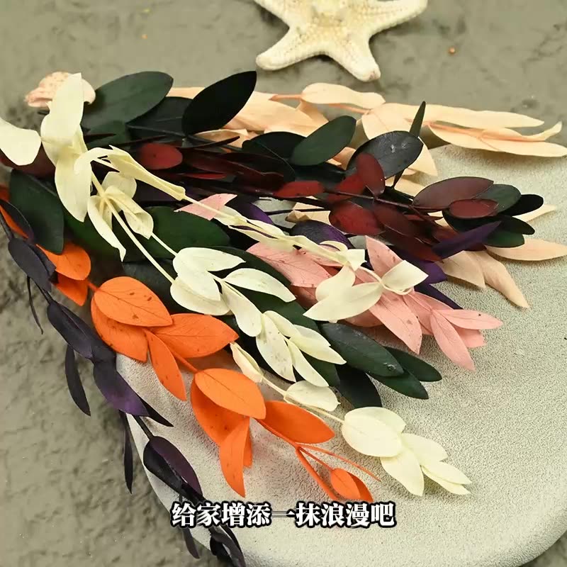 Dried  Flower Preserved Flower - Eucalyptus Preserved review and price